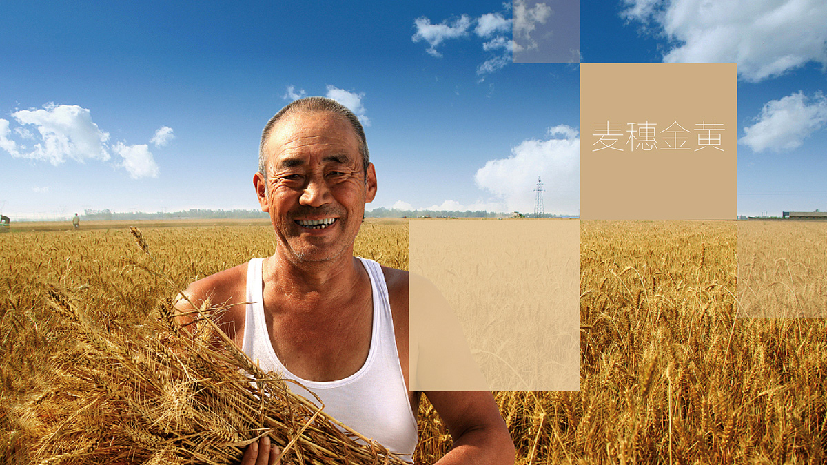 食品公司VI設計