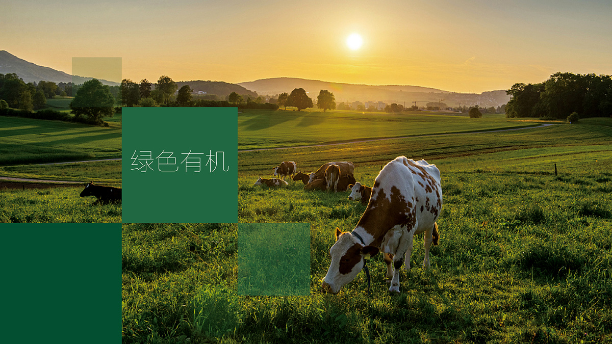 農(nóng)產(chǎn)品包裝設(shè)計