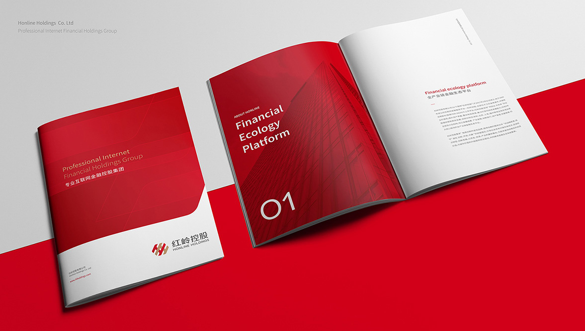 金融公司企業(yè)品牌形象設(shè)計