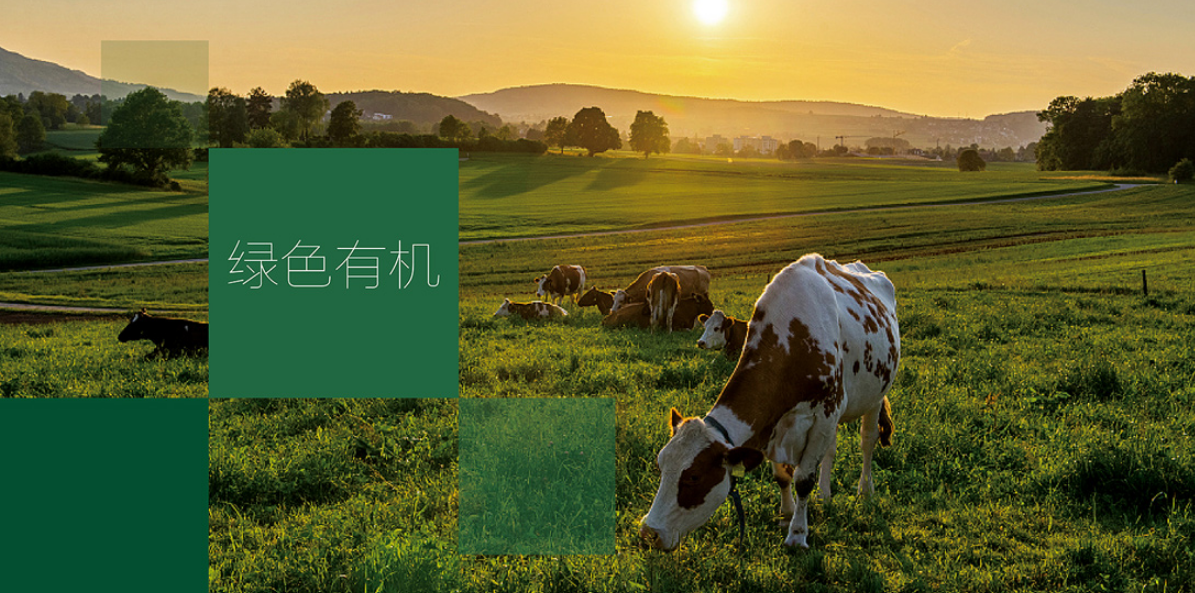 深圳廣告設計公司