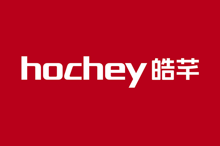 VI設計的核心要素解析：包含哪些內容，如何打造品牌視覺識別系統